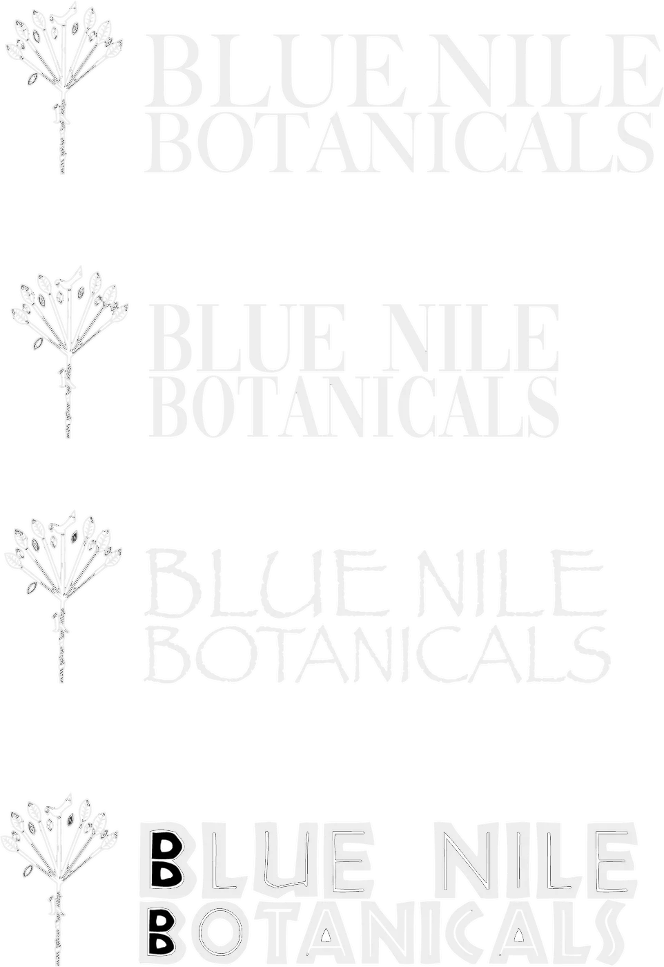 Blue Nile Botanicals wordmarks with a plant icon