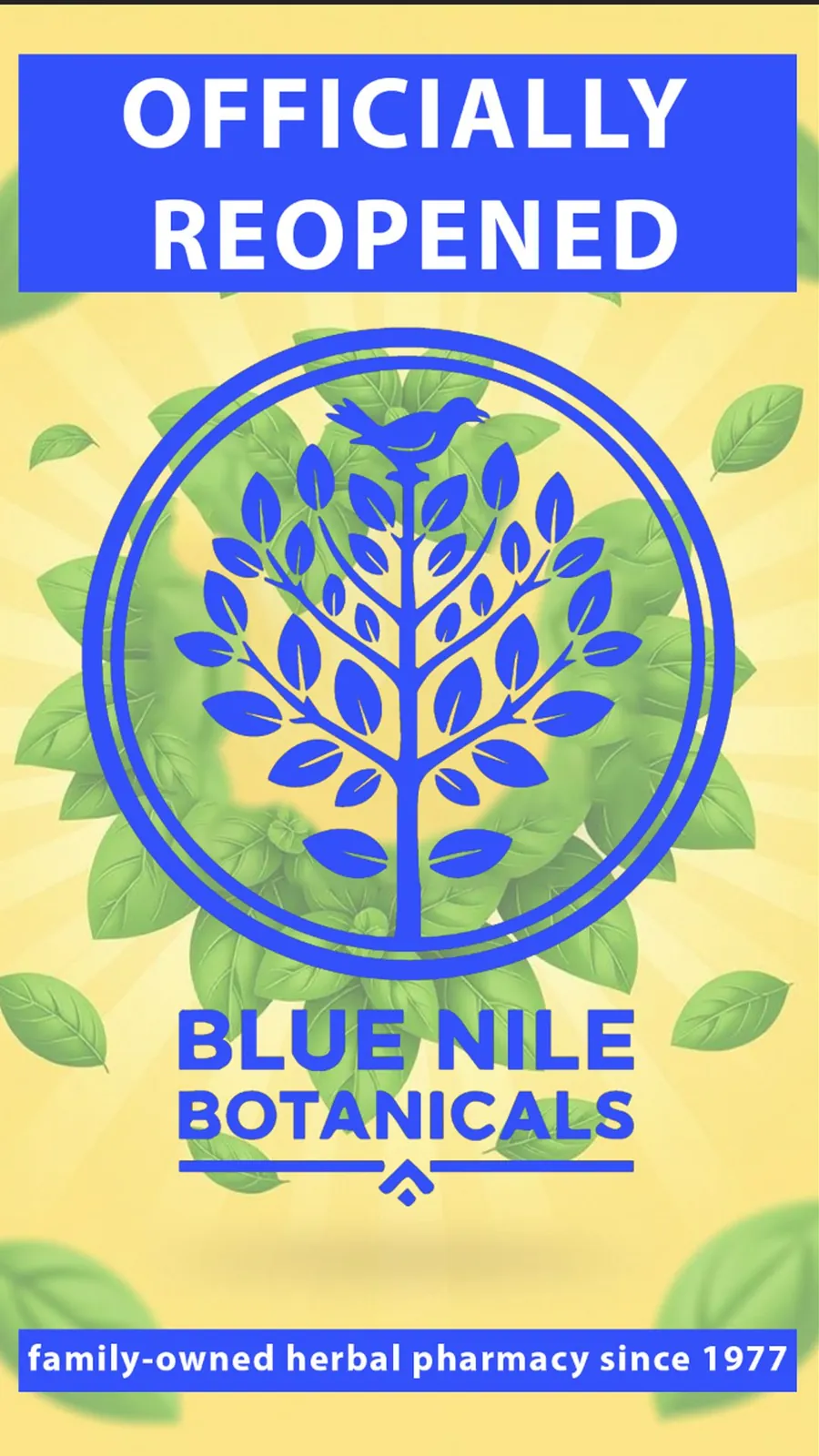 Officially Reopened story: the new seal on a leafy yellow background