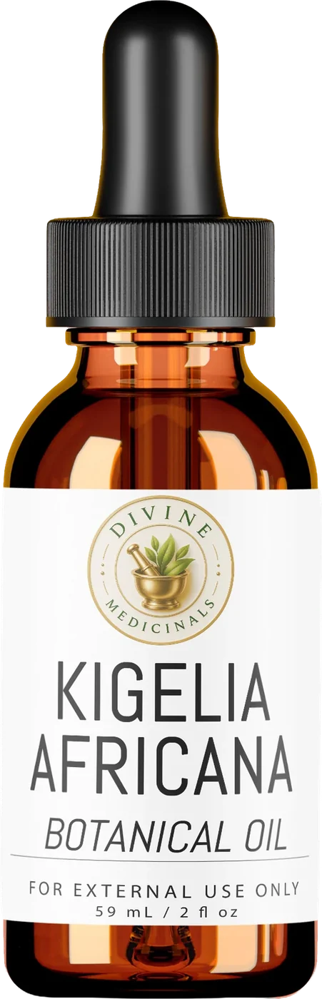 Kigelia Africana botanical oil mockup