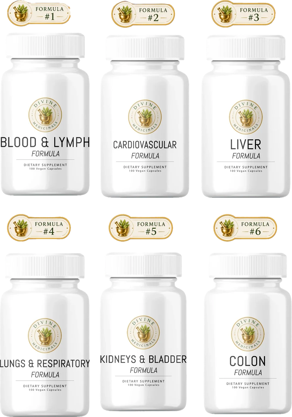 Full Body Detox kit: six numbered capsule bottles