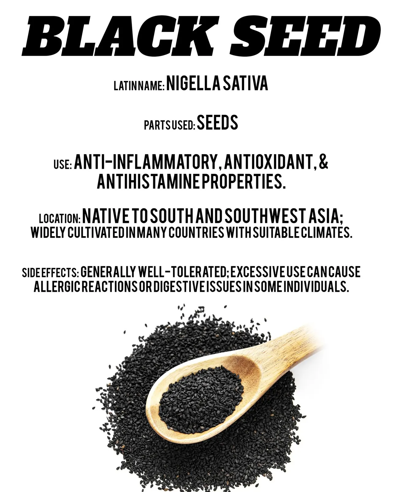 Herb Info Cards, Prolific Wholistic (1 of 3)