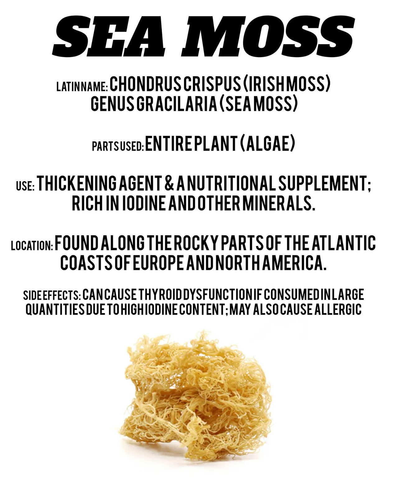 Herb Info Cards, Prolific Wholistic (2 of 3)