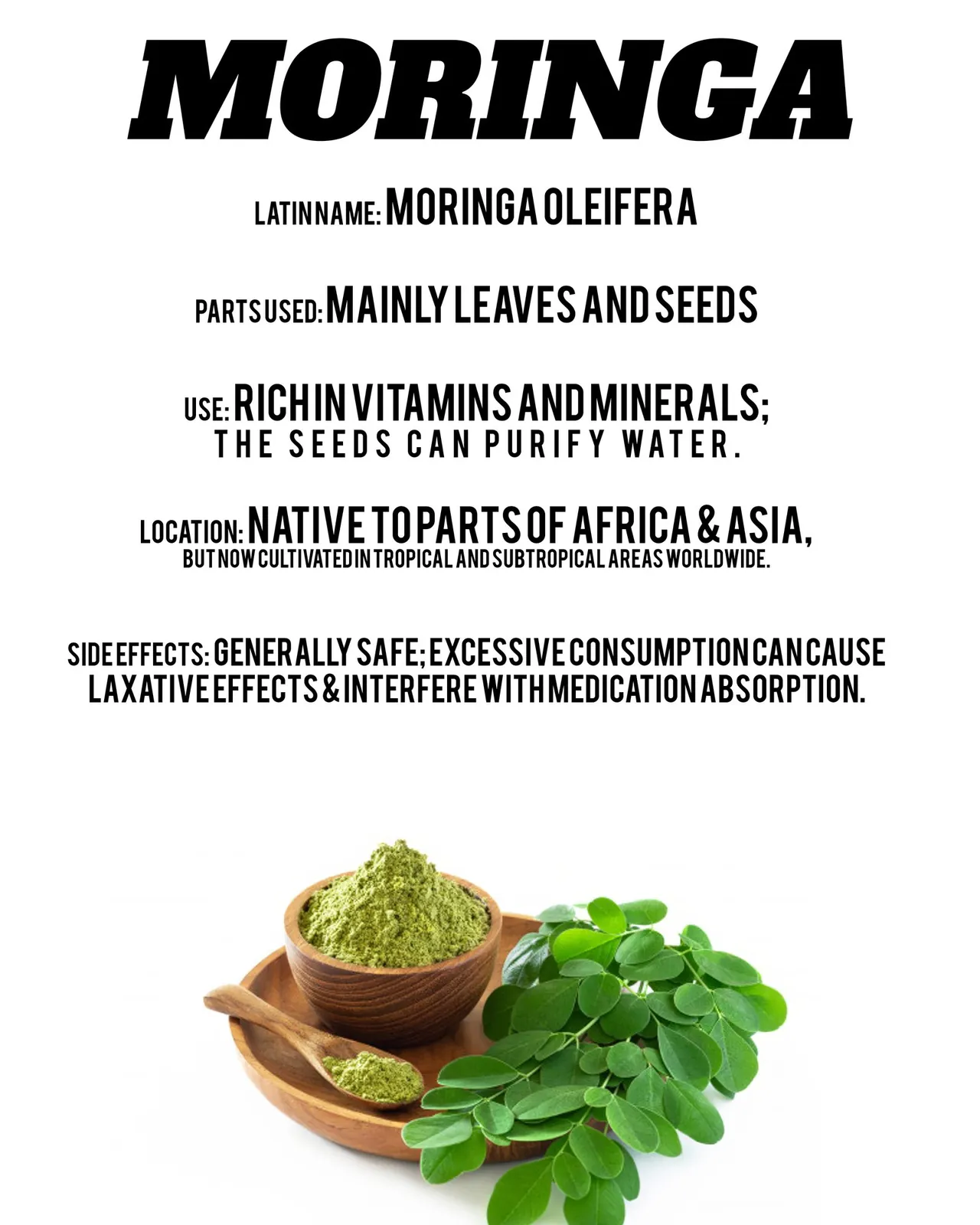 Herb Info Cards, Prolific Wholistic (3 of 3)
