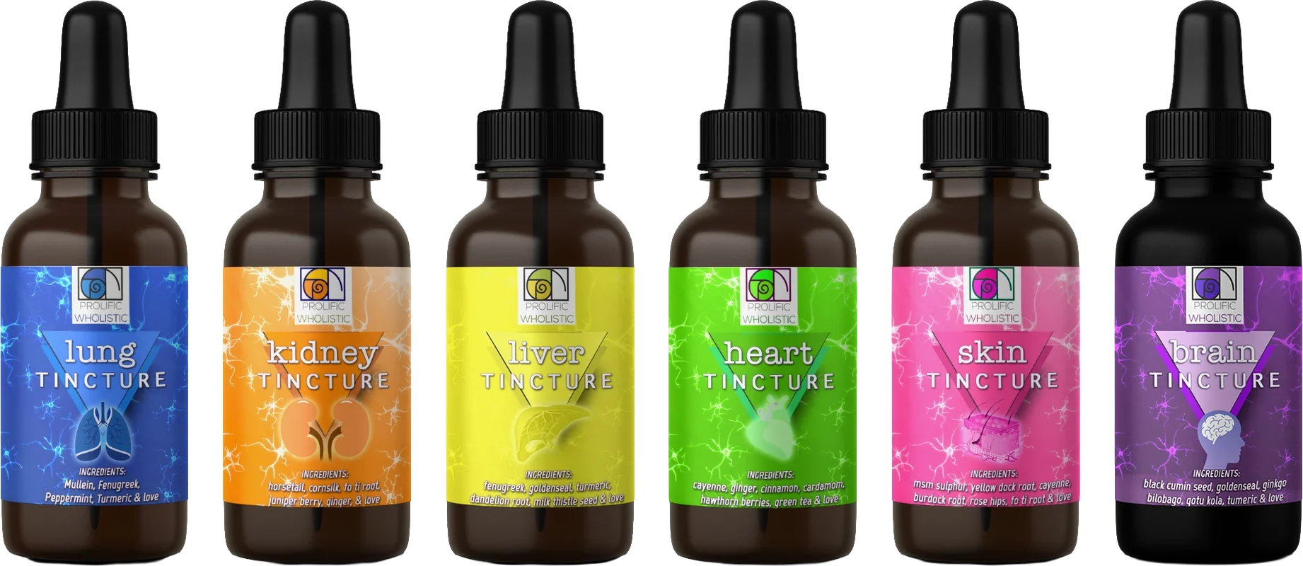 Six Prolific Wholistic tincture bottles in a row: lung, kidney, liver, heart, skin and brain