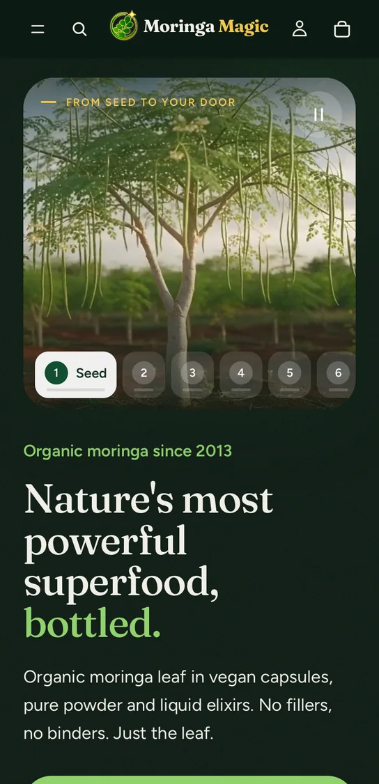 The Moringa Magic store on a phone in dark mode