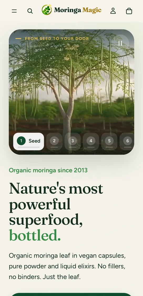 Moringa Magic on a phone in light mode