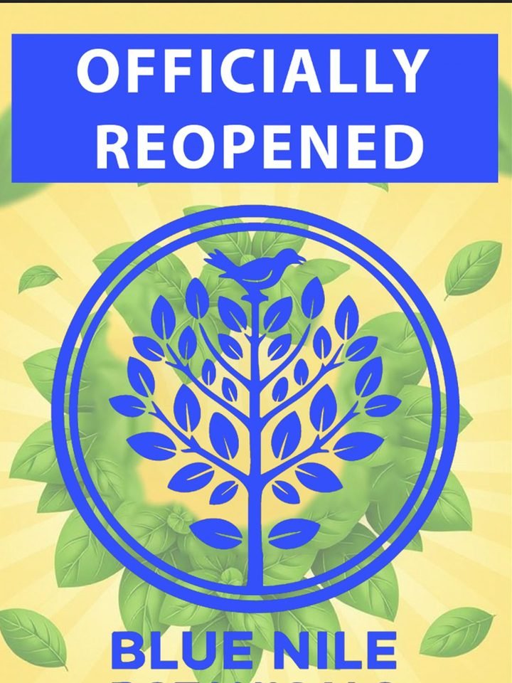 Officially Reopened story: the new seal on a leafy yellow background